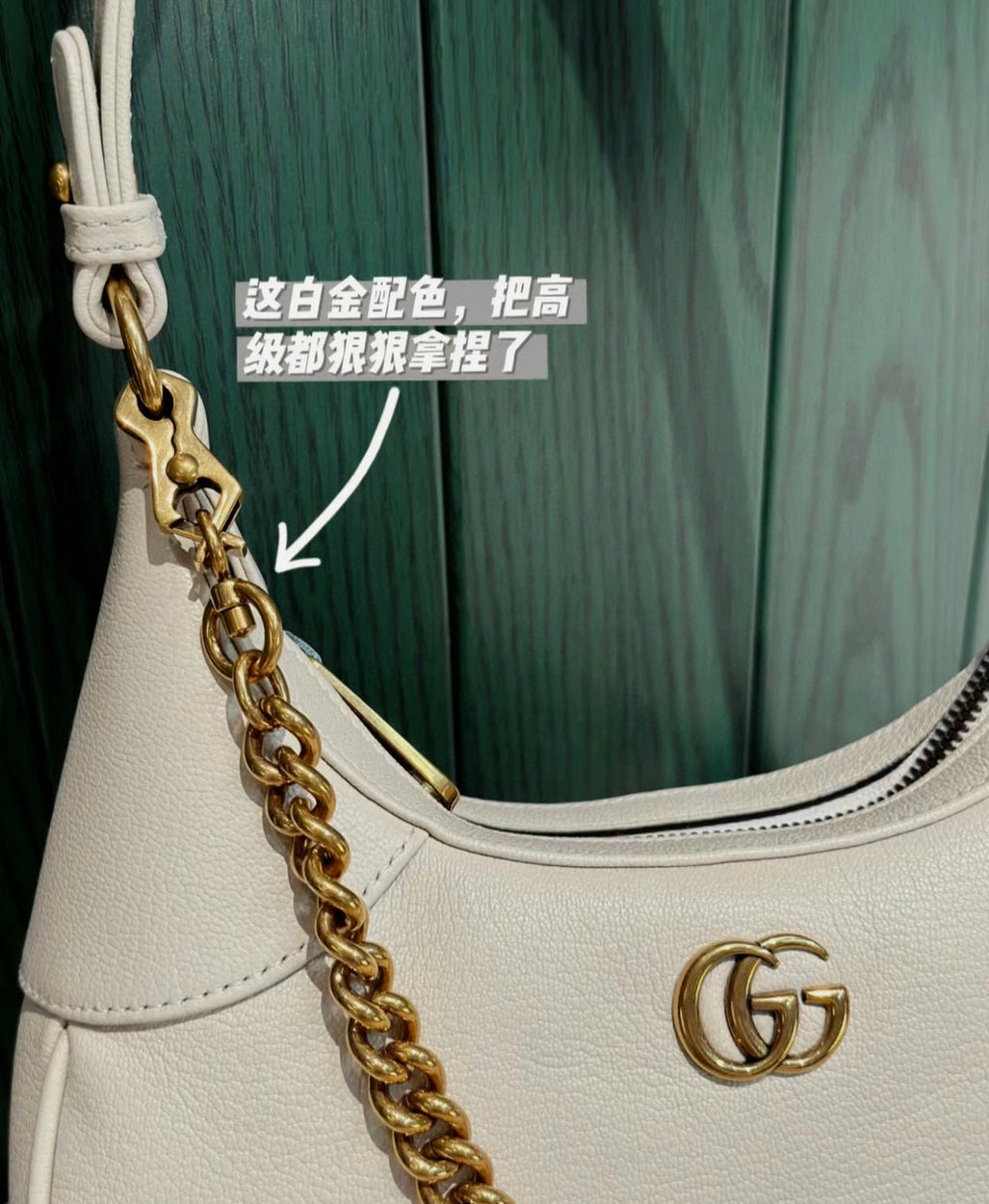 Gucci GG Aphrodite Crescent Shoulder Bag – 731817
