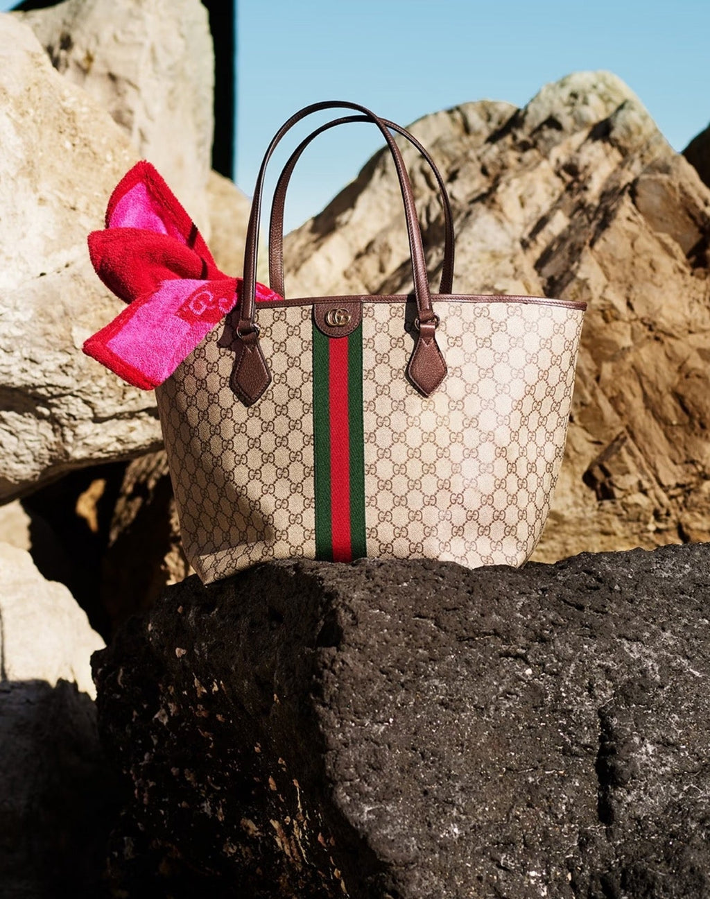 Gucci Ophidia Tote Bag – 836829